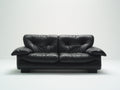 Canapé 2 places - Cuir - 176 x 94 x 88 cm - Noir - Style vintage
