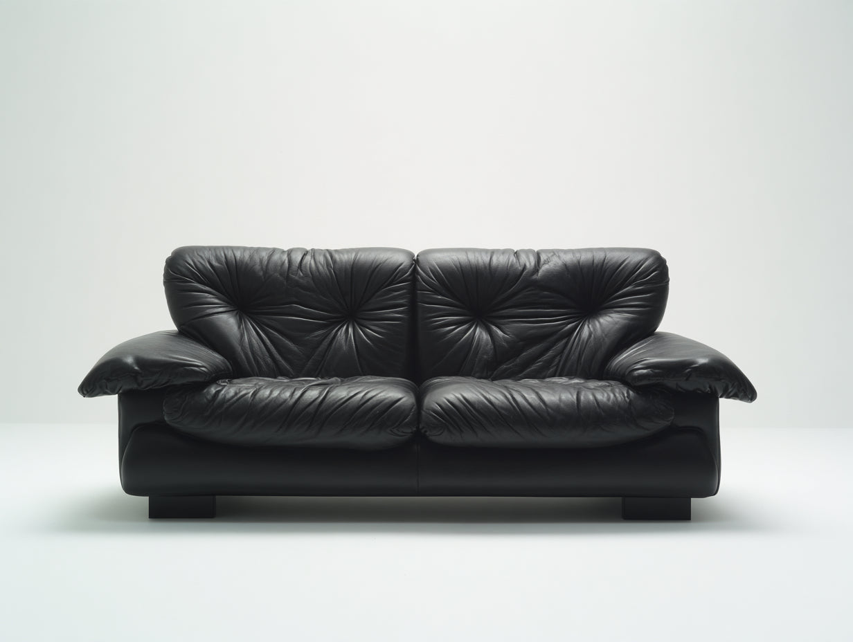 Canapé 2 places - Cuir - 176 x 94 x 88 cm - Noir - Style vintage