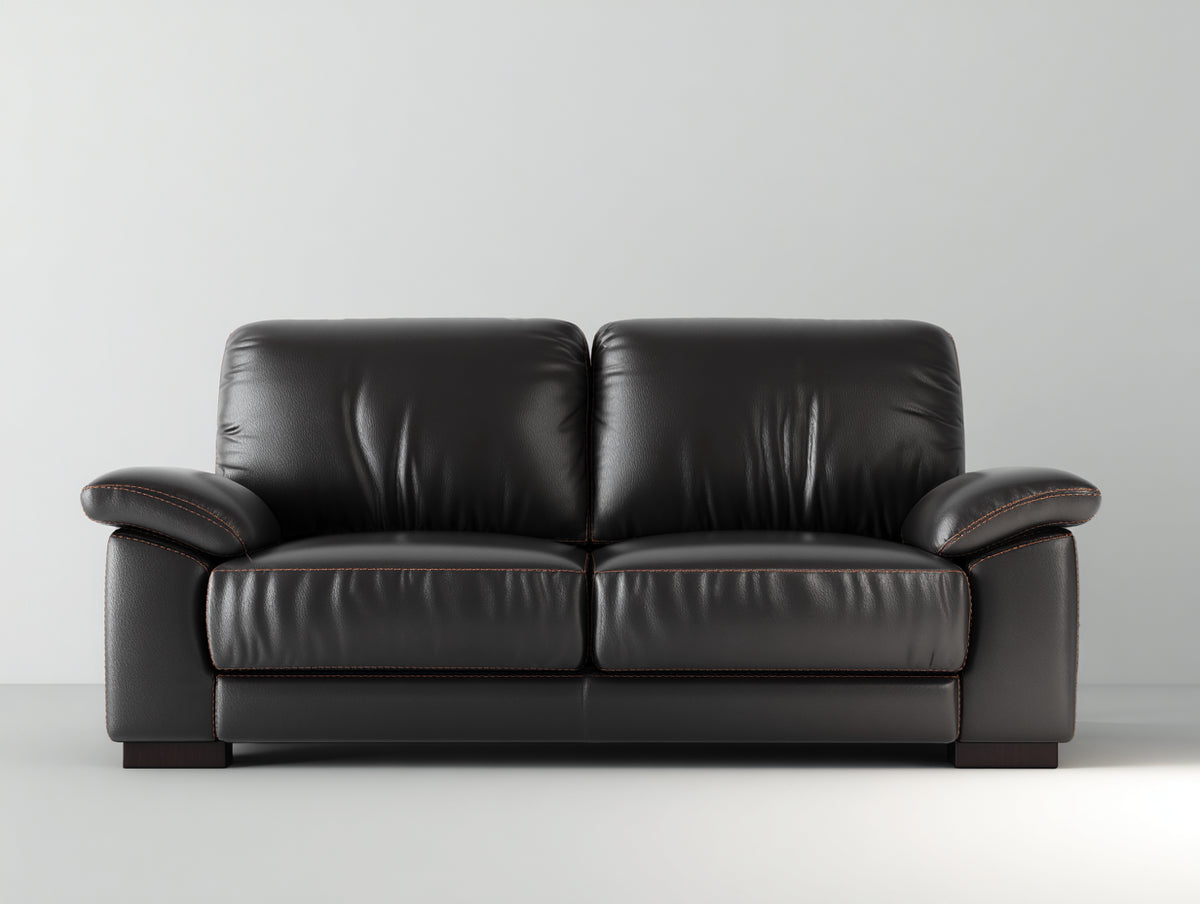 Canapé 2 places - Revêtement aspect cuir - 168 x 90 x 88 cm - Noir - Style contemporain