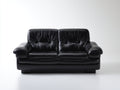 Canapé 2 places - Cuir - 172 x 94 x 91 cm - Noir - Style moderne